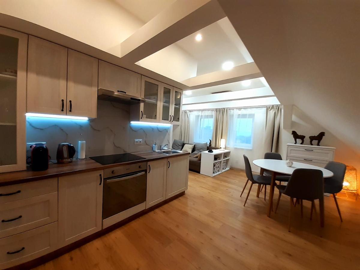Apartmány v centru - Lázně Kynžvart Exterior foto
